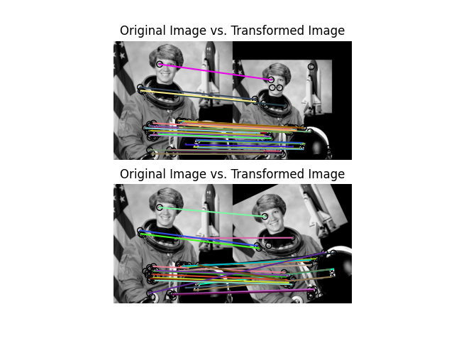 Original Image vs. Transformed Image, Original Image vs. Transformed Image